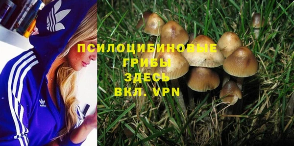 хмурый Арсеньев