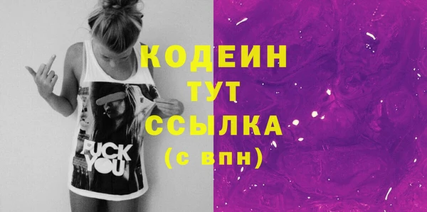 хмурый Арсеньев