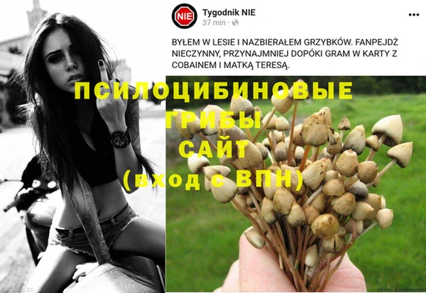 хмурый Арсеньев