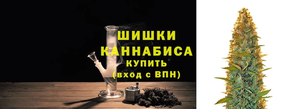 хмурый Арсеньев