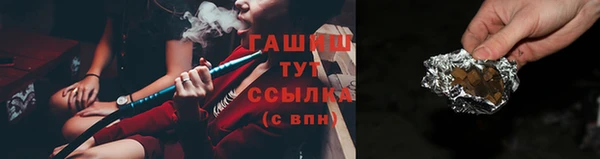 хмурый Арсеньев